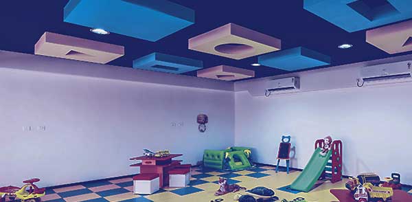 Shapoorji Pallonj