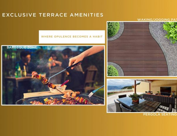 shapoorji dualis amenities